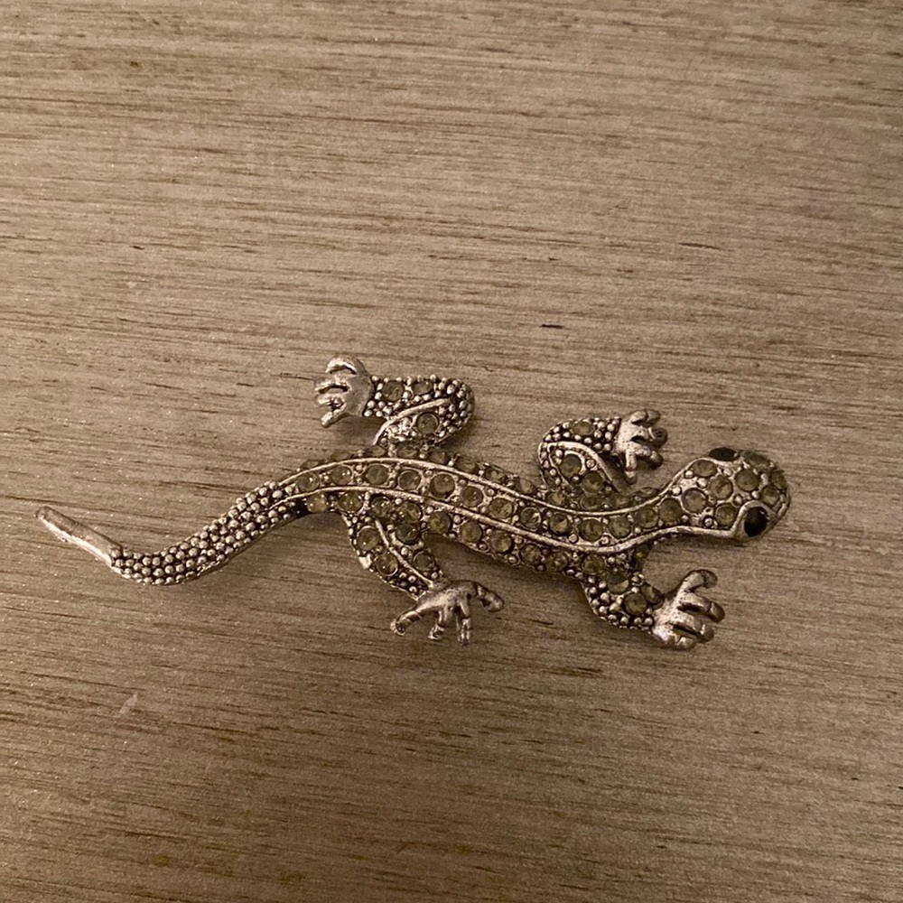Lizard brooch